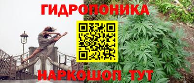 бутират Гусь-Хрустальный