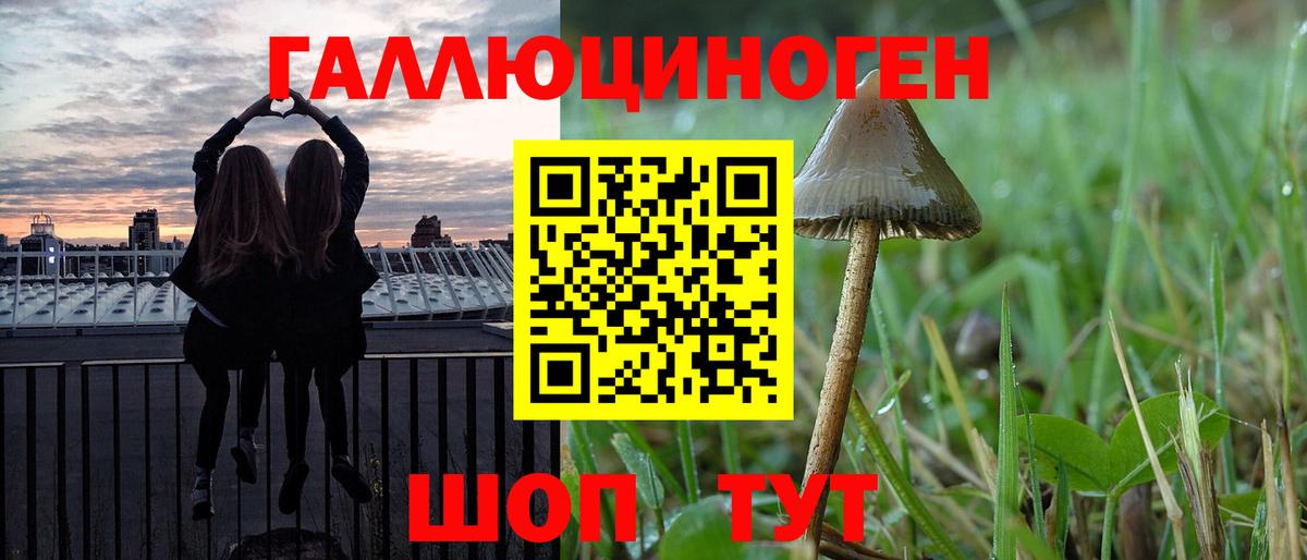 Магадан  Псилоцибиновые грибы GOLDEN TEACHER  Галлюциногенные грибы Psilocybe  Вход с VPN 